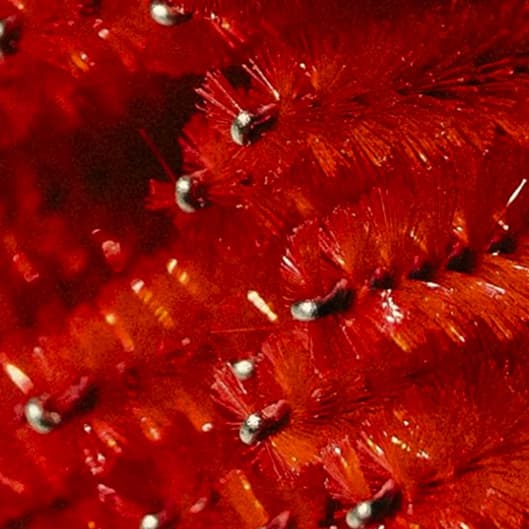 Lash & Brow bundle at Starlin Girl Esthetics in Nevada, MO